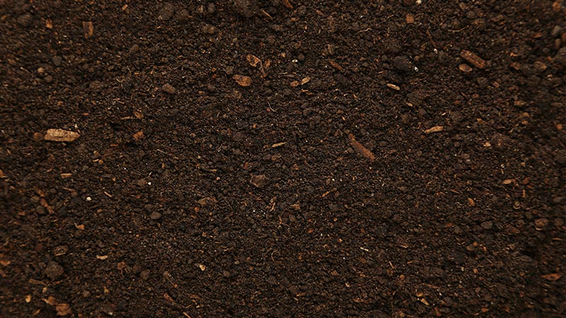 peat soil top down view