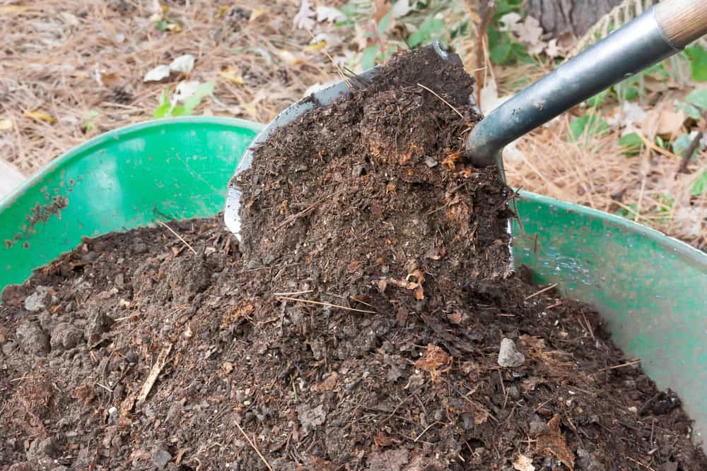 How to Make Compost and Top-dress Your Lawn 3