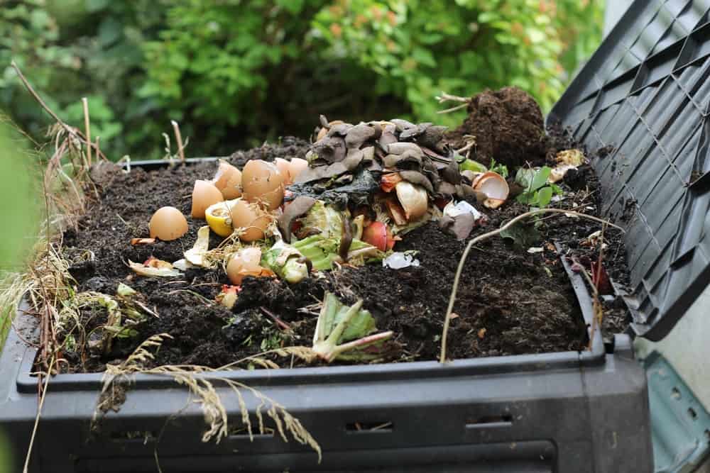 How to Make Compost and Top-dress Your Lawn 2