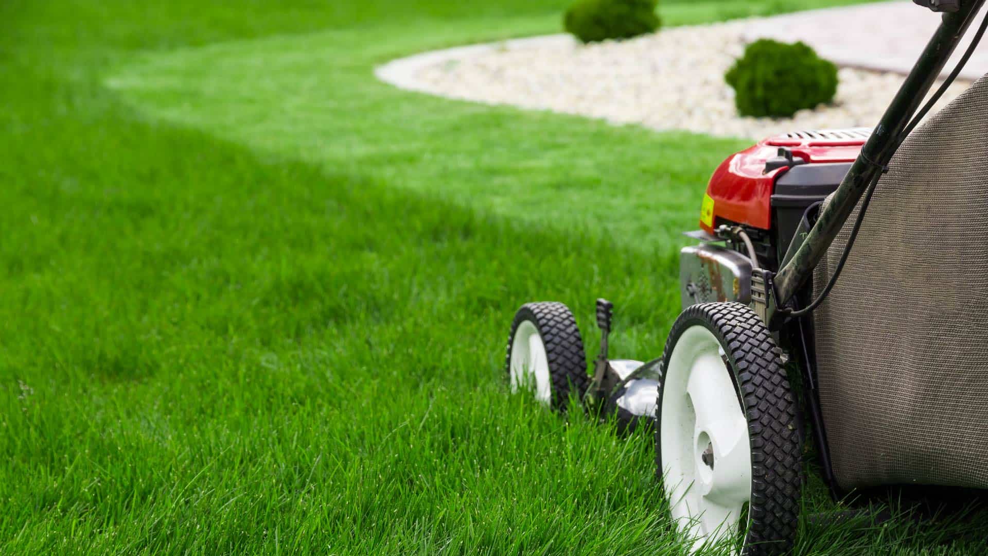 6 Safety Tips to Know Before Mowing Your Lawn - LawnStar