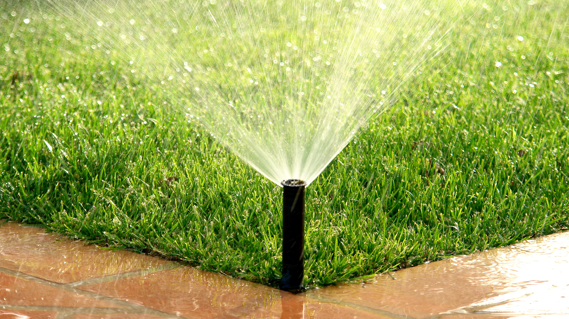 types-of-irrigation-systems-for-your-lawn-lawnstar