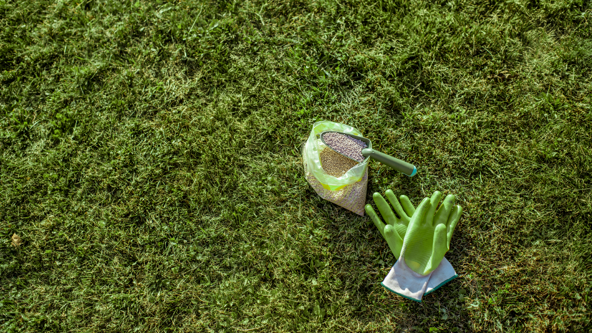 granular fertilizer bag and gardening gloves on green grass